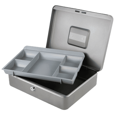 Secureo Geldkassette XL Münzeinsatz silber